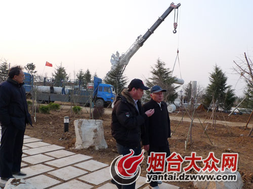 莱州建生态月季园 中国品种最全规模最大