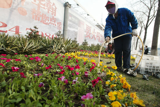 天津：塘沽开始春植 栽18万株植物