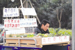 网络流行语当广告词 南京“卖花哥”年入8万