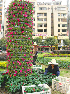 福建：“五一”将至 工人在摆放各种花草