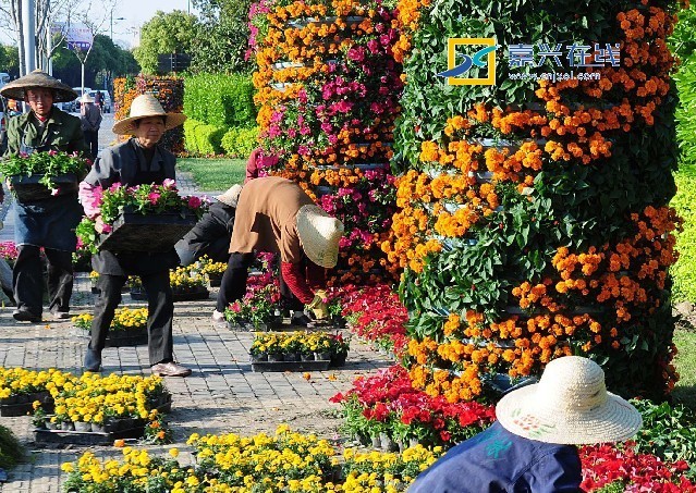 浙江：庆祝五一迎世博 万盘鲜花扮禾城（图）