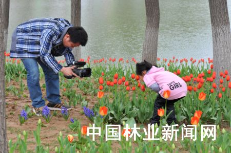 迎五一 石家庄花事活动多