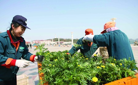 烟台：庆祝“五一”劳动节 滨海广场摆放大量鲜花