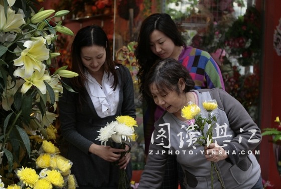 湛江：清明节祭扫高峰 港城鲜花销售火热