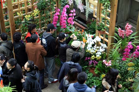 上海植物园园长胡永红：“世博花卉需求绝对有保障”