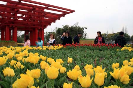 上海植物园园长胡永红：“世博花卉需求绝对有保障”