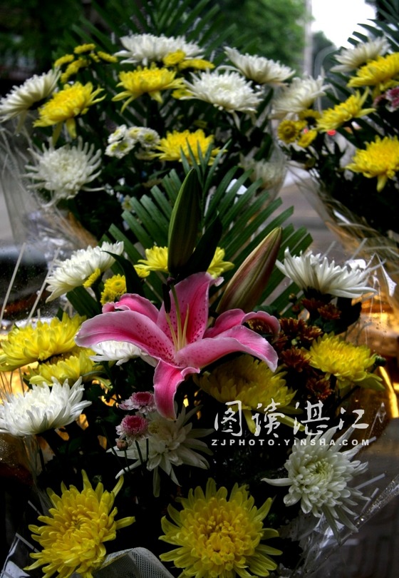 湛江：清明节祭扫高峰 港城鲜花销售火热