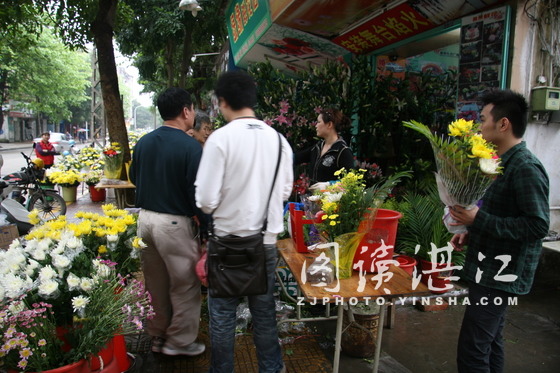 湛江：清明节祭扫高峰 港城鲜花销售火热