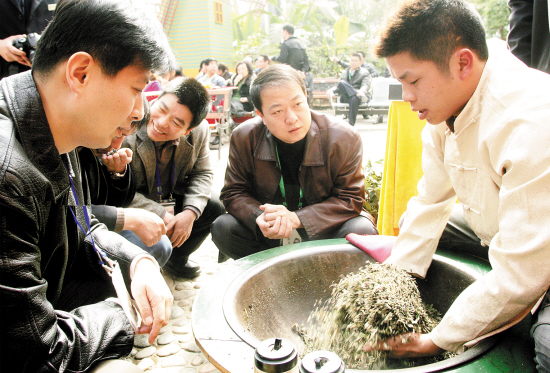 图文：天津市热带植物观光园茶文化吸引游客驻足