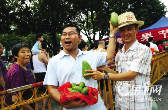 广东：芒果节快到了 番禺多个小区芒果却未开花