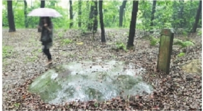 湖南省植物园私墓“挺立” 园方称墓地在建园前就有