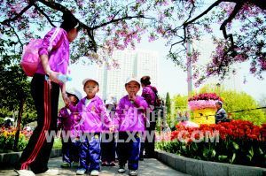 大连：冷春带来意外惊喜 花期不同花卉同时开放