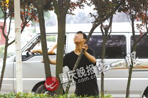 重庆南滨路观赏树红叶李挂果 有人摇树爬树采摘