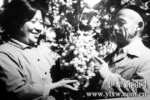 四川：与园艺结缘半个世纪的女劳模——施丽