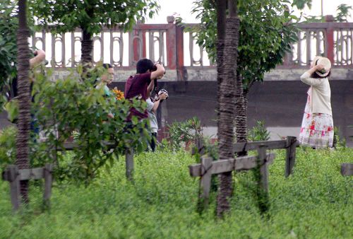 芜湖：公园来了拍摄组 草坪苗木齐“遭殃”（图）