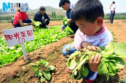 真实版“开心农场”亮相济南