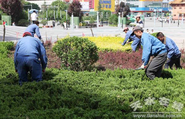 甘萧天水秦州区实施“四化工程”喜迎“节会”