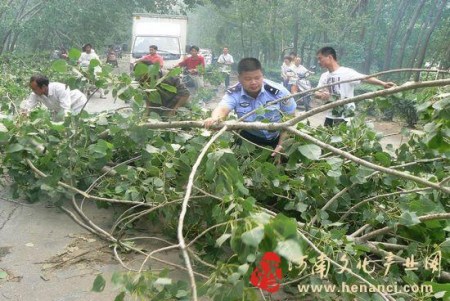 河南：淮滨遭龙卷风袭击 大树被拦腰折断连根拔起