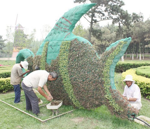 日照：“水运之都”立体花卉迎水上运动会（图）