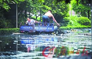 广州：连日大雨污水池崩塌 树木淹没半截（图）