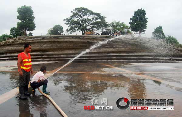 洪水过境湘江长沙段后 橘子洲尾8棵树倒伏