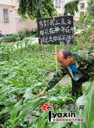 小区负责绿化的工作人员正在花池除草，在花池内立了一个很大的牌子上面写着对偷花者的诅咒