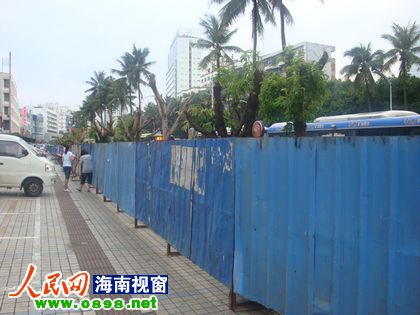 海南：海秀东路40余株遮阳树遭“剃头”引市民不满