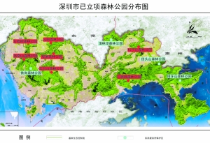 深圳拟投资12亿元 在全市建设11座森林公园 