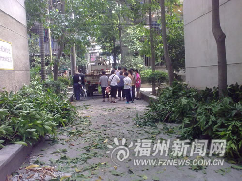 福州：工人处理绿化树木 未设警戒线依姆被砸