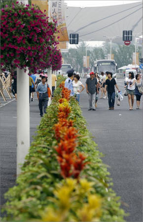 上海：世博大道花卉本周完成夏季“换装” （图）