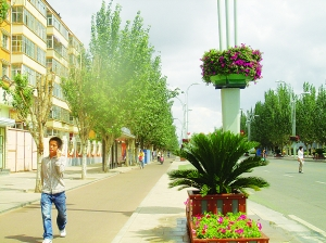 内蒙古：罕见植物扮靓景观大道（