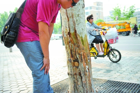 郑州：三年38起毁绿案 仅告破了两起