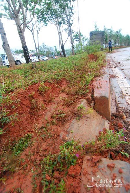 玉溪：大货车冲上绿化带 12株行道树遭殃（图）