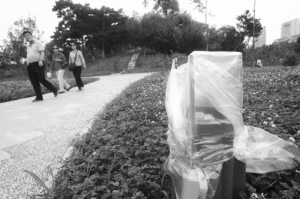 长春：御花园70多盏草坪灯被盗损失上万元 将装防盗设施(图)