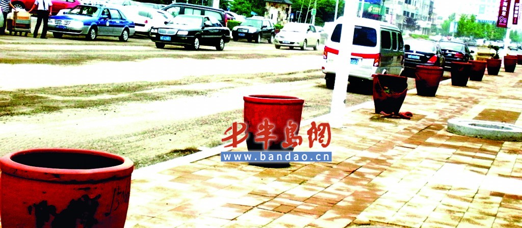 青岛：秦岭路出现“花盆阵”一字摆开被装满垃圾