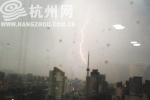 杭州：风雨有多大？法国梧桐拦腰折断（图）