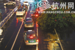 杭州：风雨有多大？法国梧桐拦腰折断（图）