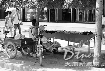大同：毁绿行为处处有 绿化整治乱象多