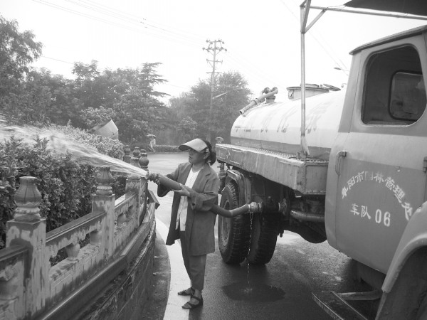 阜阳：路人不解雨中浇水 园林职工细说原因