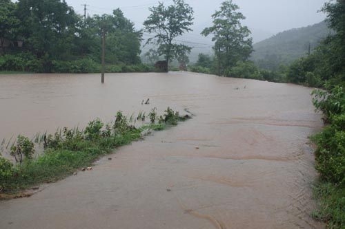 湖北：红安遭受暴雨 游仙山林场一片汪洋（图）