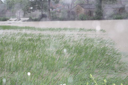 湖北：红安遭受暴雨 游仙山林场一片汪洋（图）