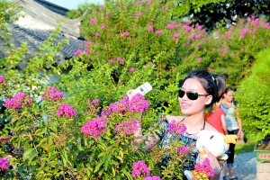 广州：夏花绽放 繁花似锦带给炎炎夏日一丝清凉