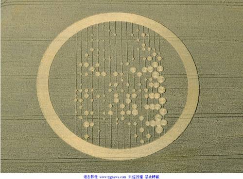 英又现神秘麦田圈 图案酷似“耶稣裹尸布”