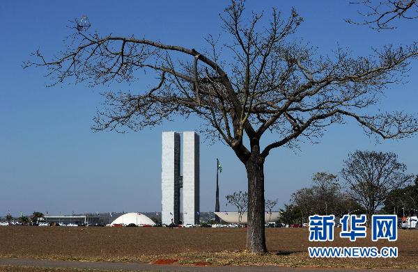 巴西首都巴西利亚持续干旱 树木干枯（图）