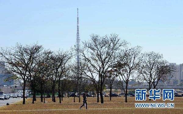 巴西首都巴西利亚持续干旱 树木干枯（图）