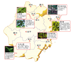 浙江出台野生植物保护办法 违规最高可罚10万