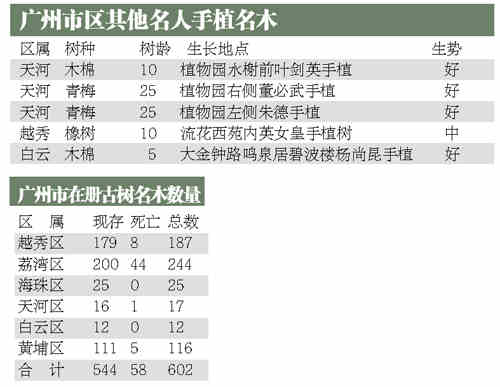 广州：古树名木每年至少死3株 列入保护范围