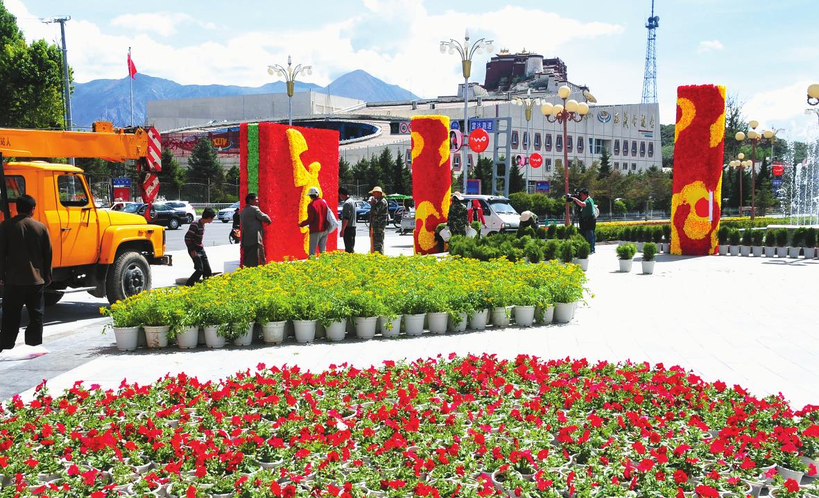 拉萨：10余万盆花迎雪顿 节日气氛渐浓