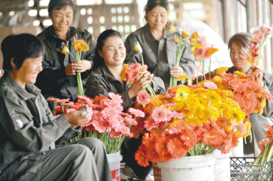 沈阳：辽中县花卉产业前程似锦(图)