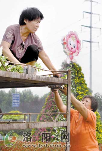 激情省运会 花海洛阳城